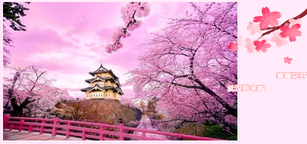 1585283049884962.png image.png